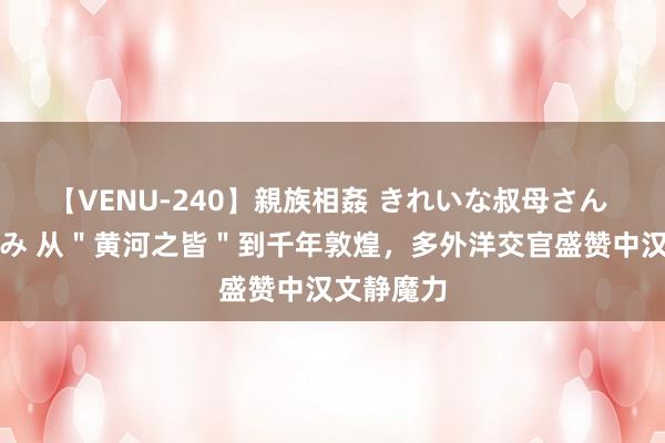 【VENU-240】親族相姦 きれいな叔母さん 高梨あゆみ 从＂黄河之皆＂到千年敦煌，多外洋交官盛赞中汉文静魔力