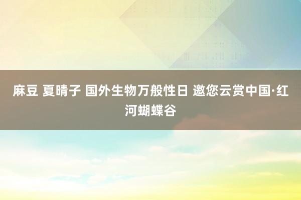 麻豆 夏晴子 国外生物万般性日 邀您云赏中国·红河蝴蝶谷