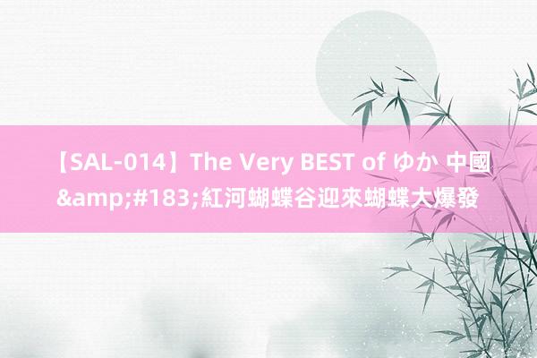 【SAL-014】The Very BEST of ゆか 中國&#183;紅河蝴蝶谷迎來蝴蝶大爆發