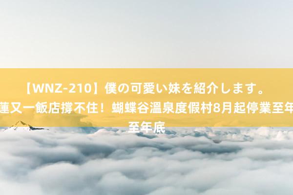 【WNZ-210】僕の可愛い妹を紹介します。 花蓮又一飯店撐不住！蝴蝶谷溫泉度假村8月起停業至年底