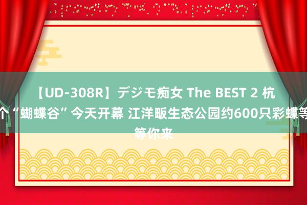 【UD-308R】デジモ痴女 The BEST 2 杭州首个“蝴蝶谷”今天开幕 江洋畈生态公园约600只彩蝶等你来