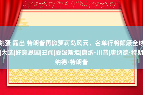 跳蛋 露出 特朗普再掀萝莉岛风云，名单行将颠簸全球！|大选|好意思国|丑闻|爱泼斯坦|唐纳·川普|唐纳德·特朗普