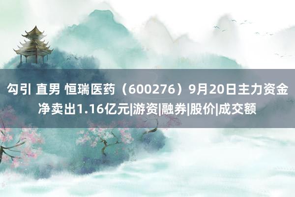 勾引 直男 恒瑞医药（600276）9月20日主力资金净卖出1.16亿元|游资|融券|股价|成交额