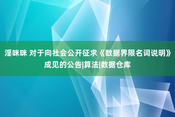 淫咪咪 对于向社会公开征求《数据界限名词说明》成见的公告|算法|数据仓库