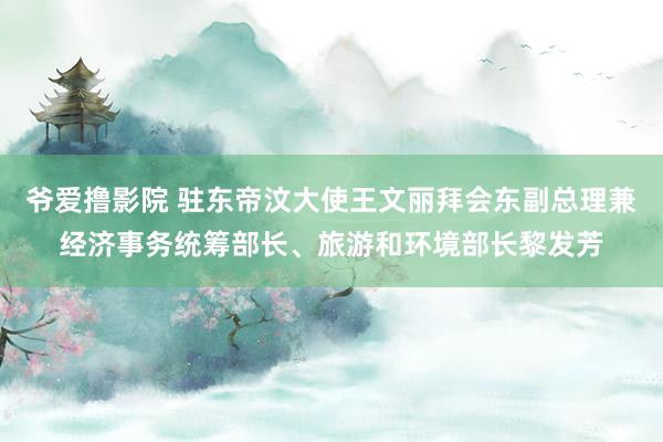 爷爱撸影院 驻东帝汶大使王文丽拜会东副总理兼经济事务统筹部长、旅游和环境部长黎发芳