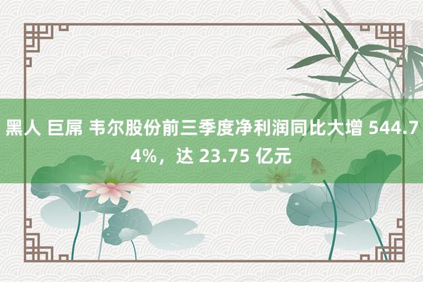 黑人 巨屌 韦尔股份前三季度净利润同比大增 544.74%，达 23.75 亿元