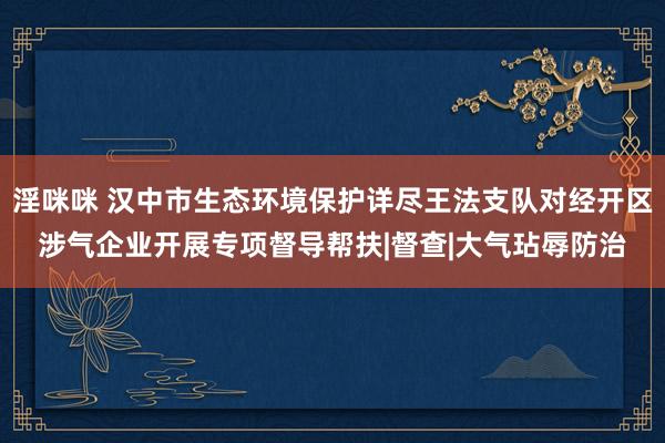 淫咪咪 汉中市生态环境保护详尽王法支队对经开区涉气企业开展专项督导帮扶|督查|大气玷辱防治