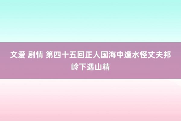 文爱 剧情 第四十五回　正人国海中逢水怪　丈夫邦岭下遇山精