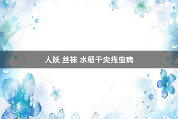 人妖 丝袜 水稻干尖线虫病