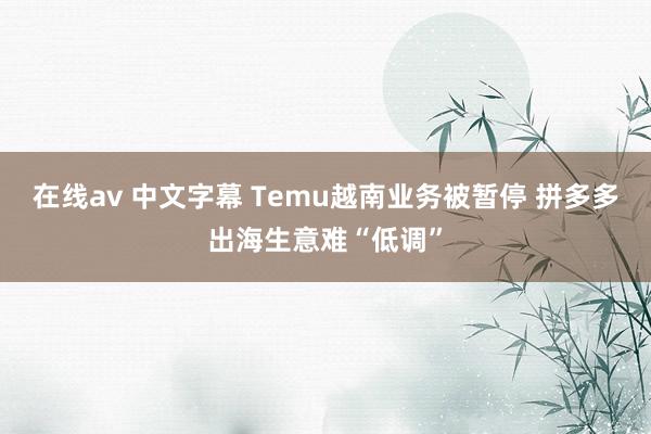 在线av 中文字幕 Temu越南业务被暂停 拼多多出海生意难“低调”