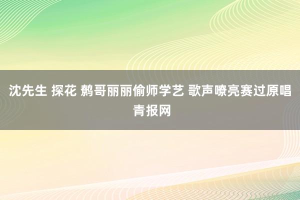 沈先生 探花 鹩哥丽丽偷师学艺 歌声嘹亮赛过原唱 青报网